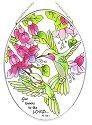 Hummingbirds