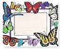 Butterflies