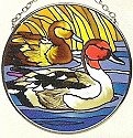 Ducks