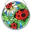 Insects