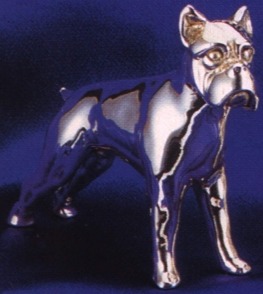 Dogs S-Z