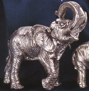 Elephants