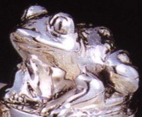 Frogs