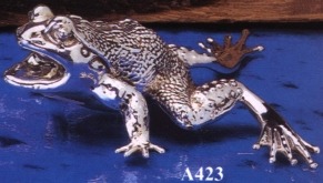 Frogs