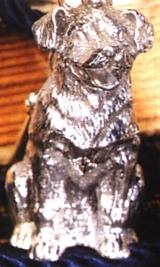 Dogs P-R