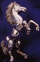Horses