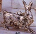 Rabbits