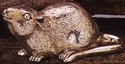 Mice