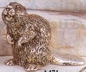 Beavers