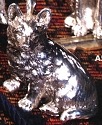 Dogs C-D