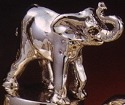 Elephants