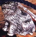 Dogs S-Z