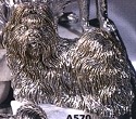 Dogs S-Z