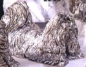 Dogs S-Z