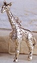 Giraffes