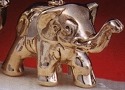 Elephants