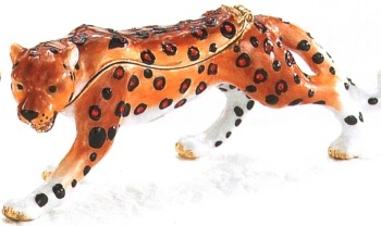 Cheetahs