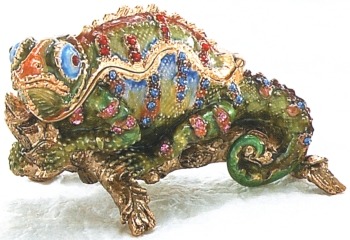 Lizards