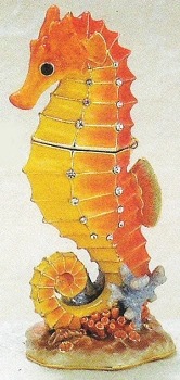Seahorses