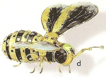 Insects