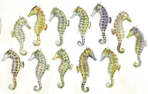 Seahorses