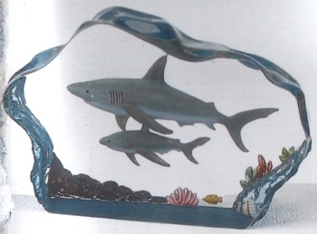 Sharks