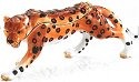 Cheetahs