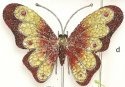 Insects