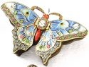 Insects