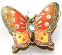 Insects