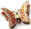 Insects