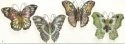 Insects