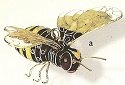 Insects