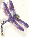 Insects