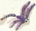 Insects