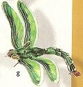 Insects