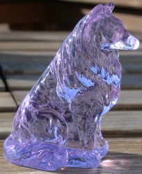 Collie
