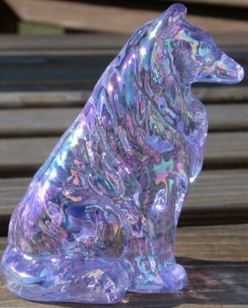 Collie