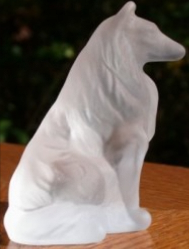 Collie