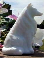 Collie