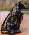 Collie