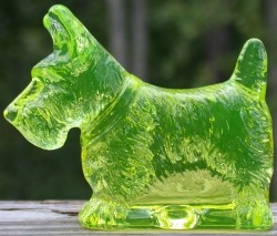 Scottie Dog