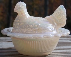 Hen on Nest 3 Inch Salt