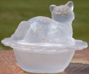 Cat on Basket