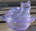Cat on Basket