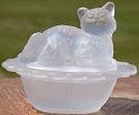 Cat on Basket