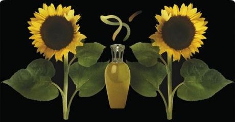 Fragrance