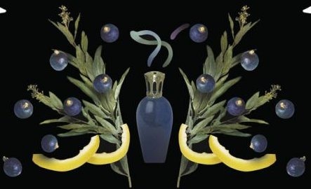 Fragrance