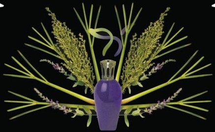 Fragrance