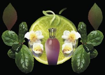 Fragrance